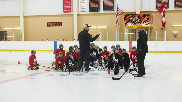 Summer camps